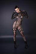 Toree Dark Bestiality istripper model